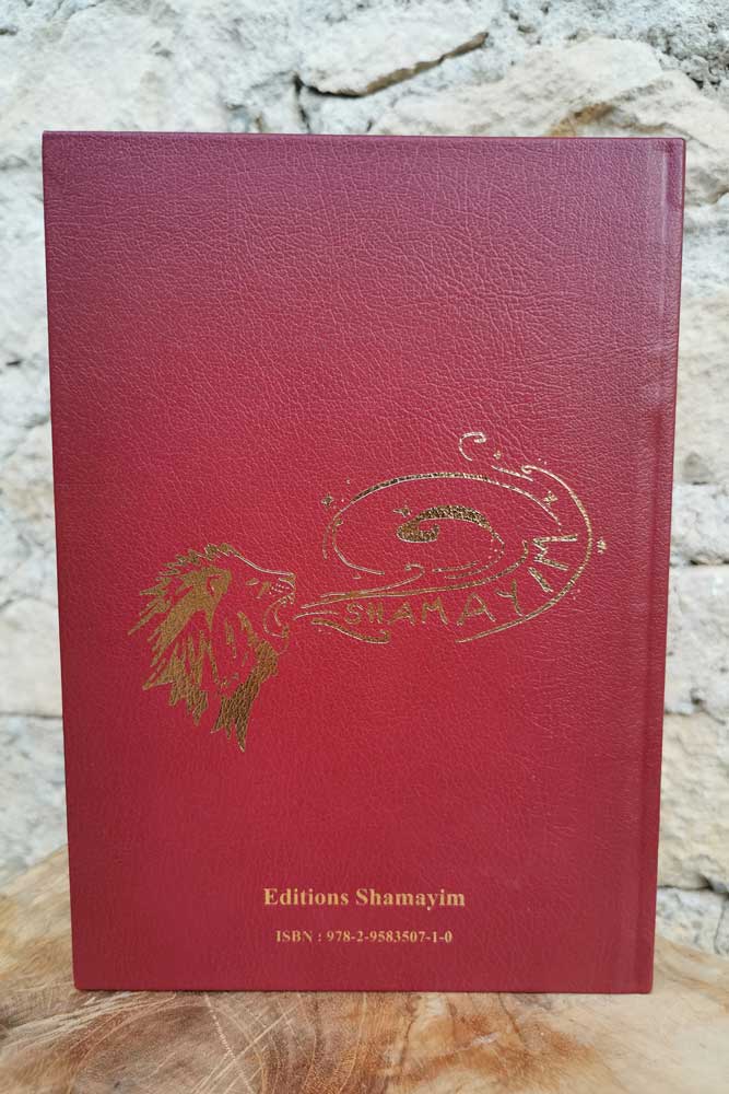 Je Choisis De Plaider Coupable – Image 3