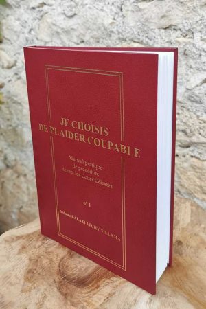Je Choisis De Plaider Coupable