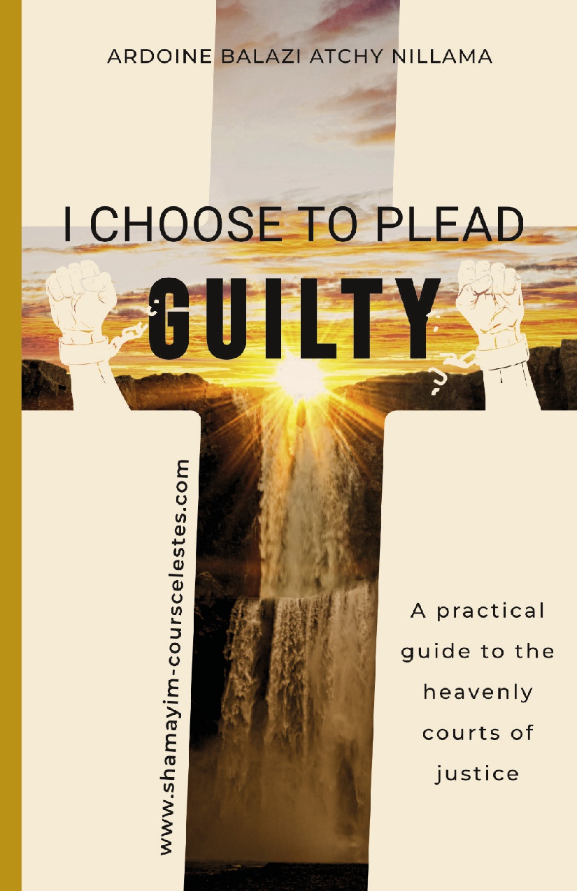 I Choose to Plead Guilty – Image 2