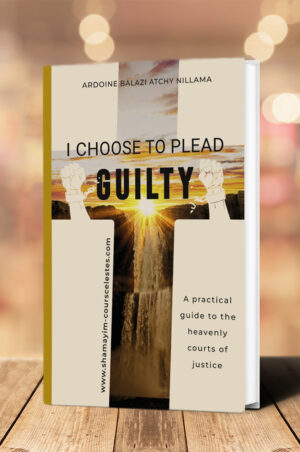 I Choose to Plead Guilty